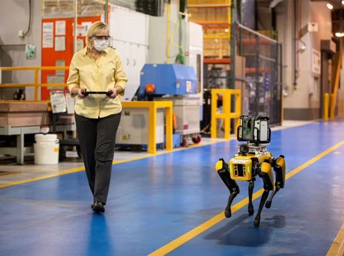 selon-galhotra-ford-utilise-des-chiens-robotises