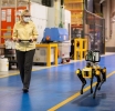 Selon Galhotra, Ford utilise des chiens robotisés