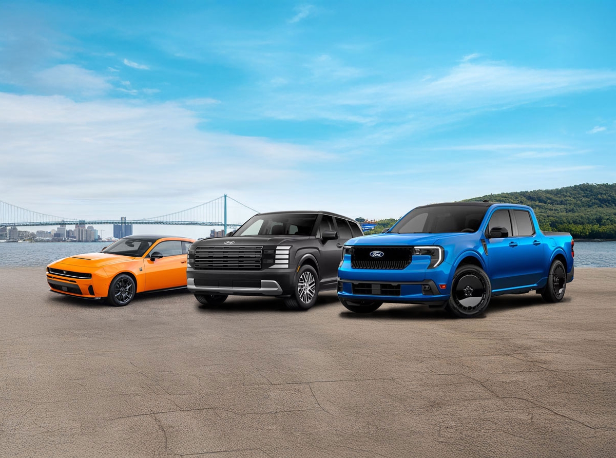 nactoy-devoile-ses-gagnants-de-lannee