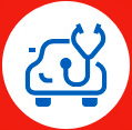 Services pour véhicules